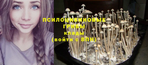амф Белоозёрский