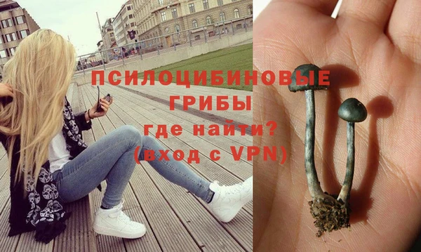 марки lsd Белокуриха
