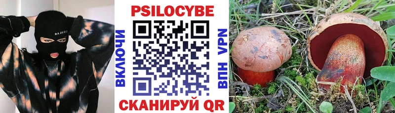 Псилоцибиновые грибы Psilocybine cubensis  закладка  Ялта 
